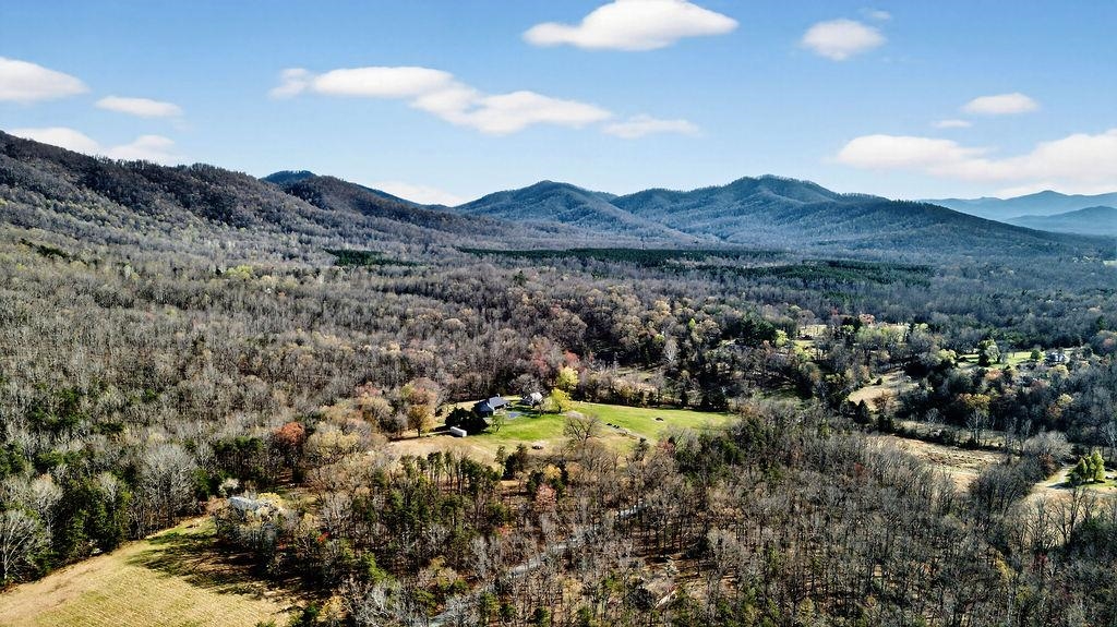 2705 Greenfield Road Afton, VA 22920 - Photo 43 of 46