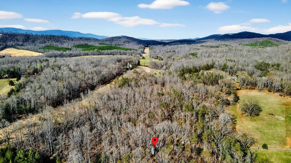 2705 Greenfield Road Afton, VA 22920 - Photo 46 of 46