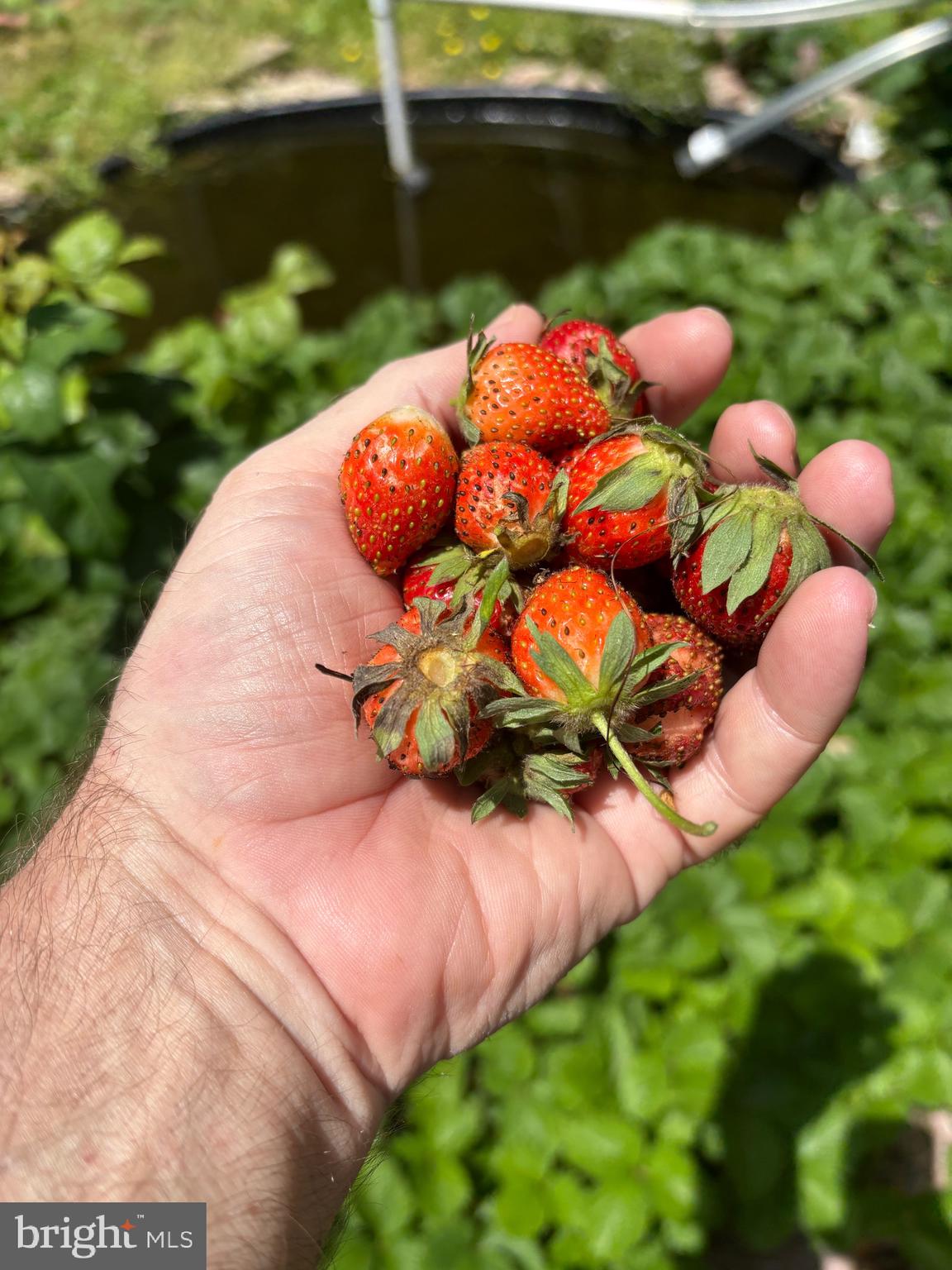 626 Clark Avenue Deale, MD 20751 - Photo 61 of 74