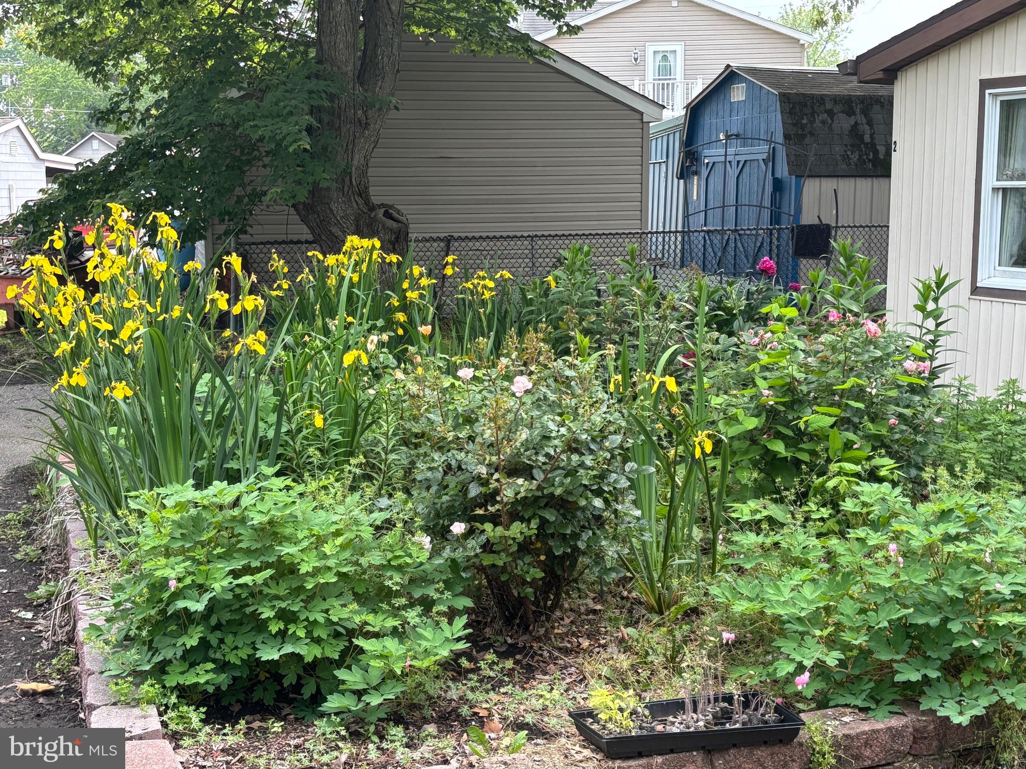 626 Clark Avenue Deale, MD 20751 - Photo 62 of 74 a backyard of a house