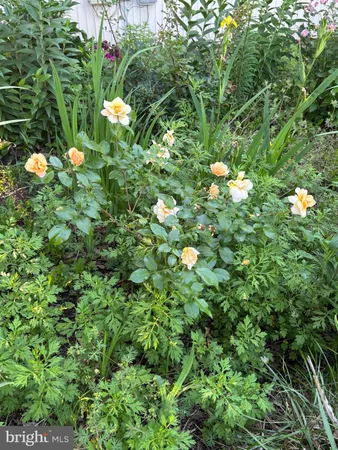 $525,000 | 626 Clark Avenue, Deale, MD 20751