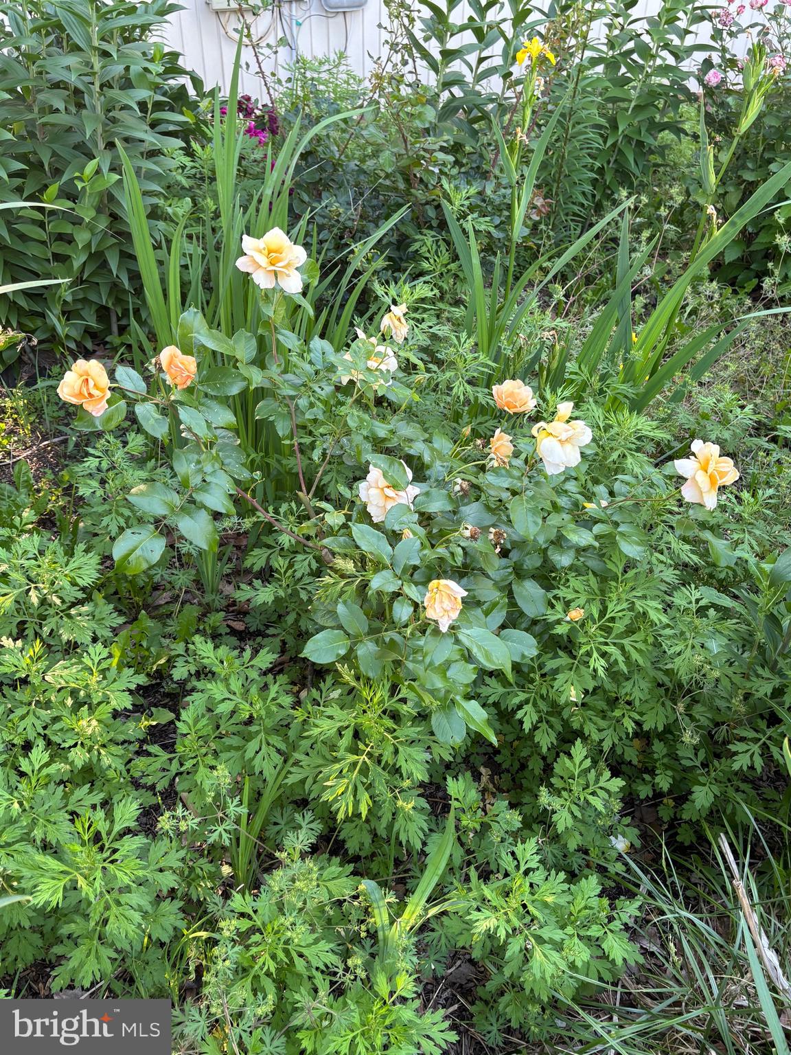 626 Clark Avenue Deale, MD 20751 - Photo 63 of 74