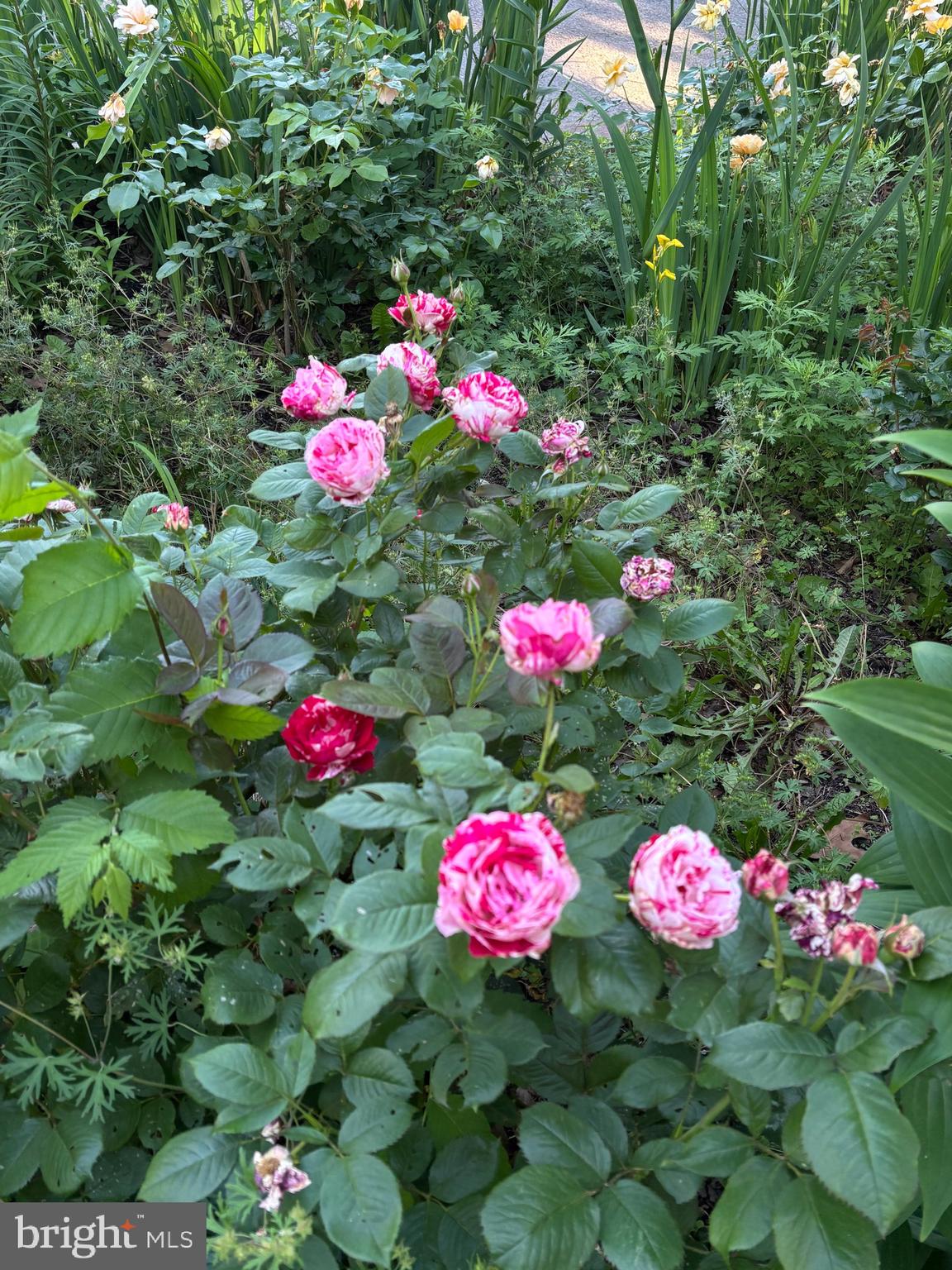 626 Clark Avenue Deale, MD 20751 - Photo 64 of 74