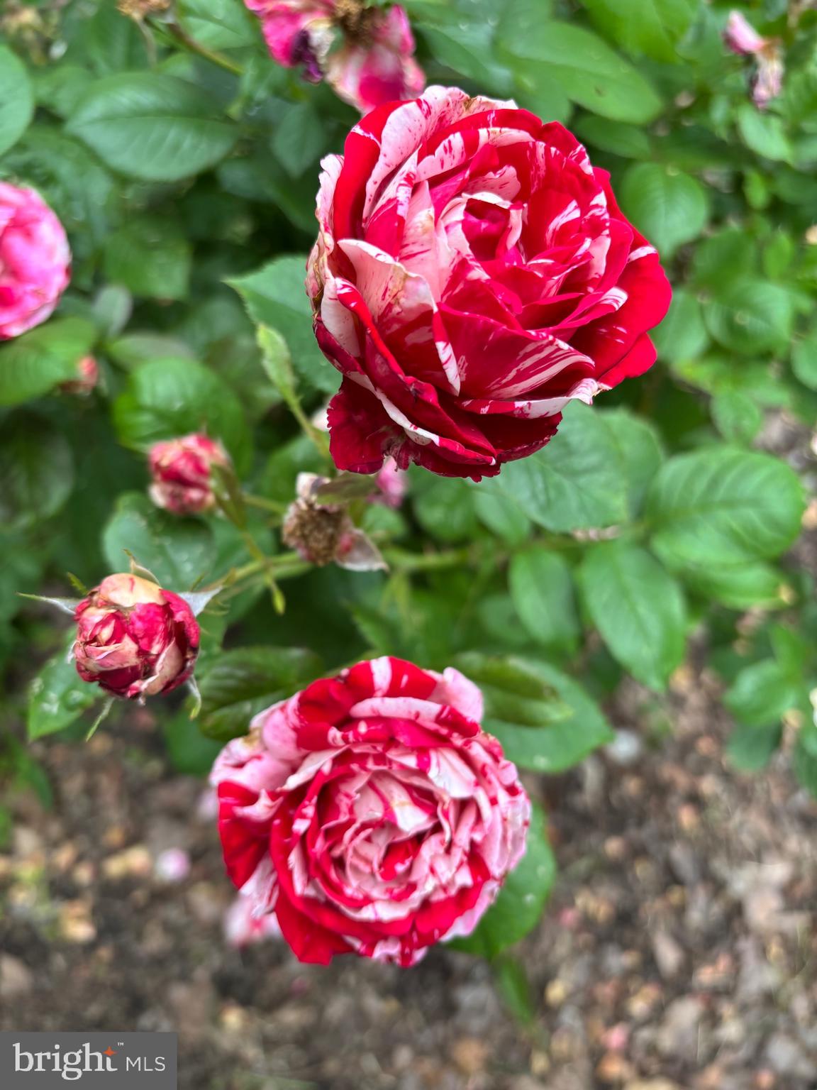 626 Clark Avenue Deale, MD 20751 - Photo 65 of 74