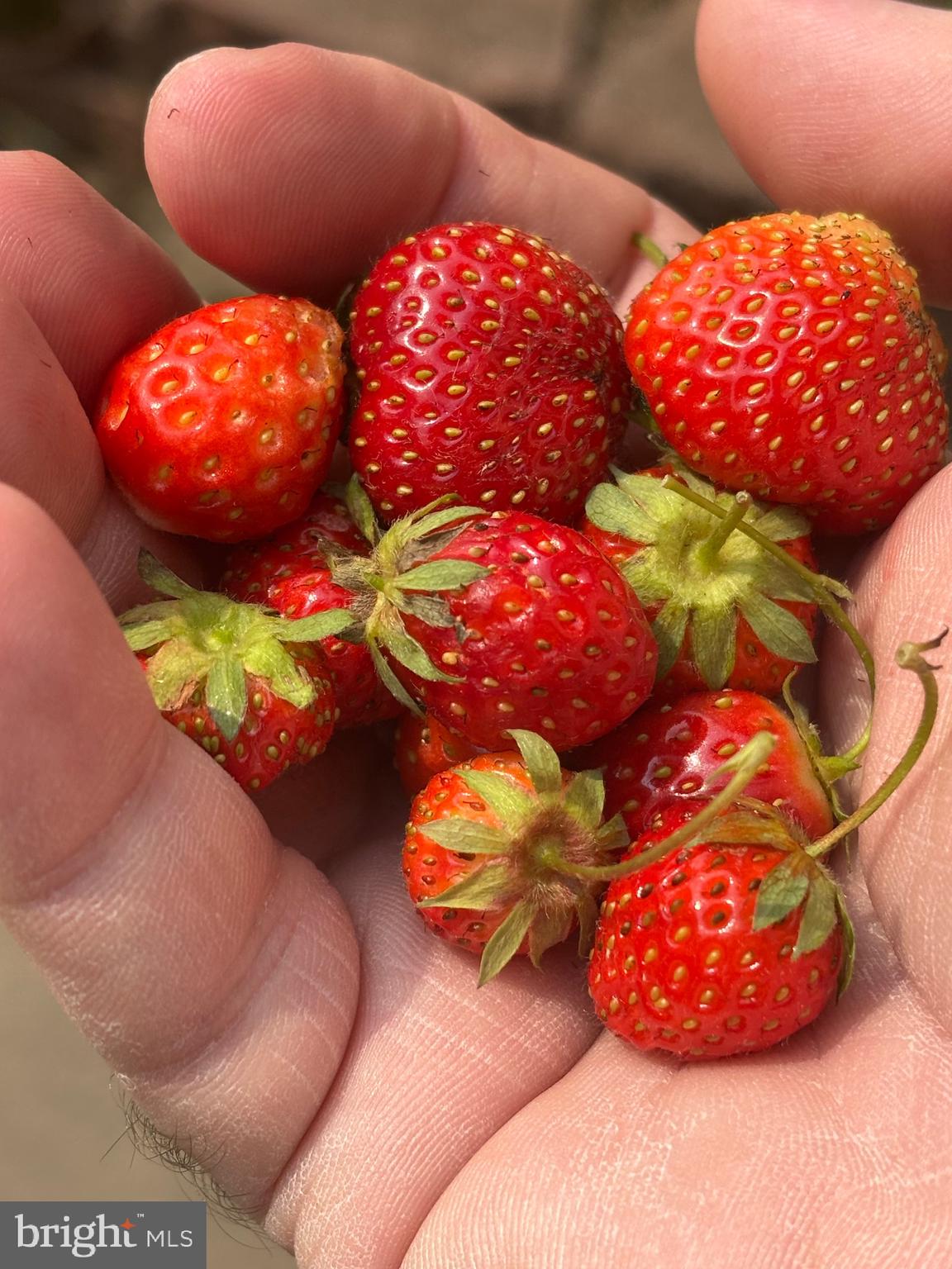 626 Clark Avenue Deale, MD 20751 - Photo 68 of 74