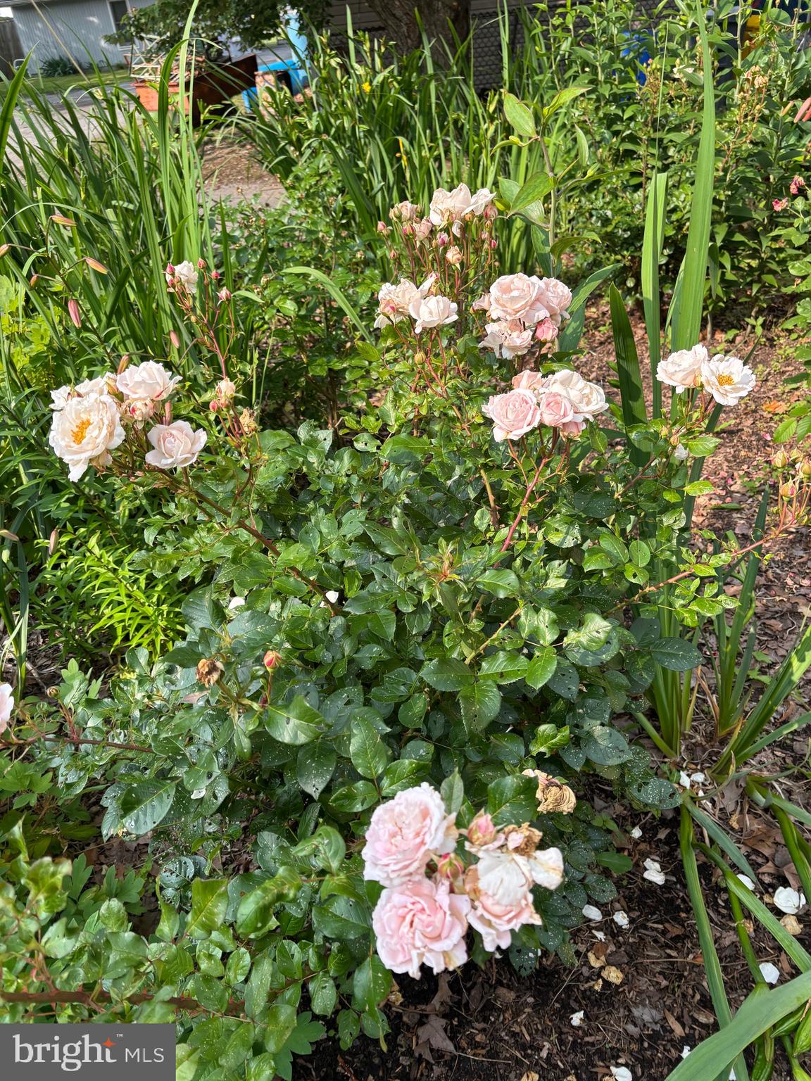 626 Clark Avenue Deale, MD 20751 - Photo 69 of 74