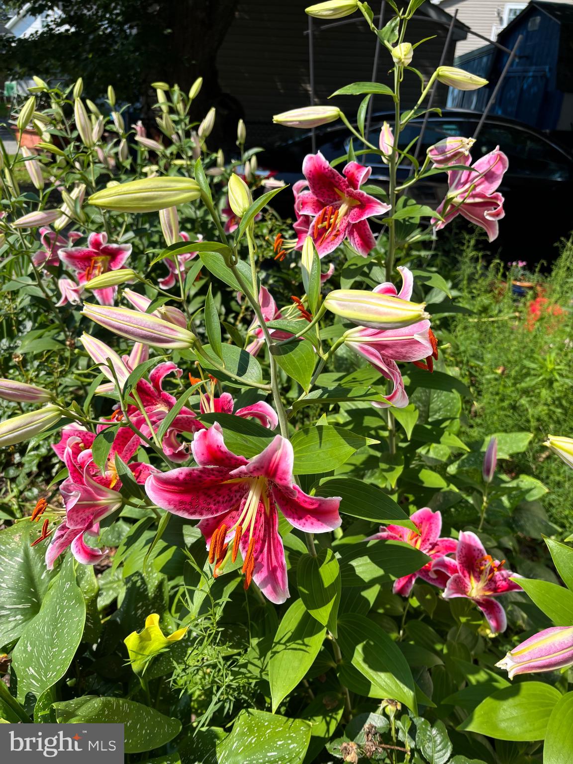 626 Clark Avenue Deale, MD 20751 - Photo 70 of 74