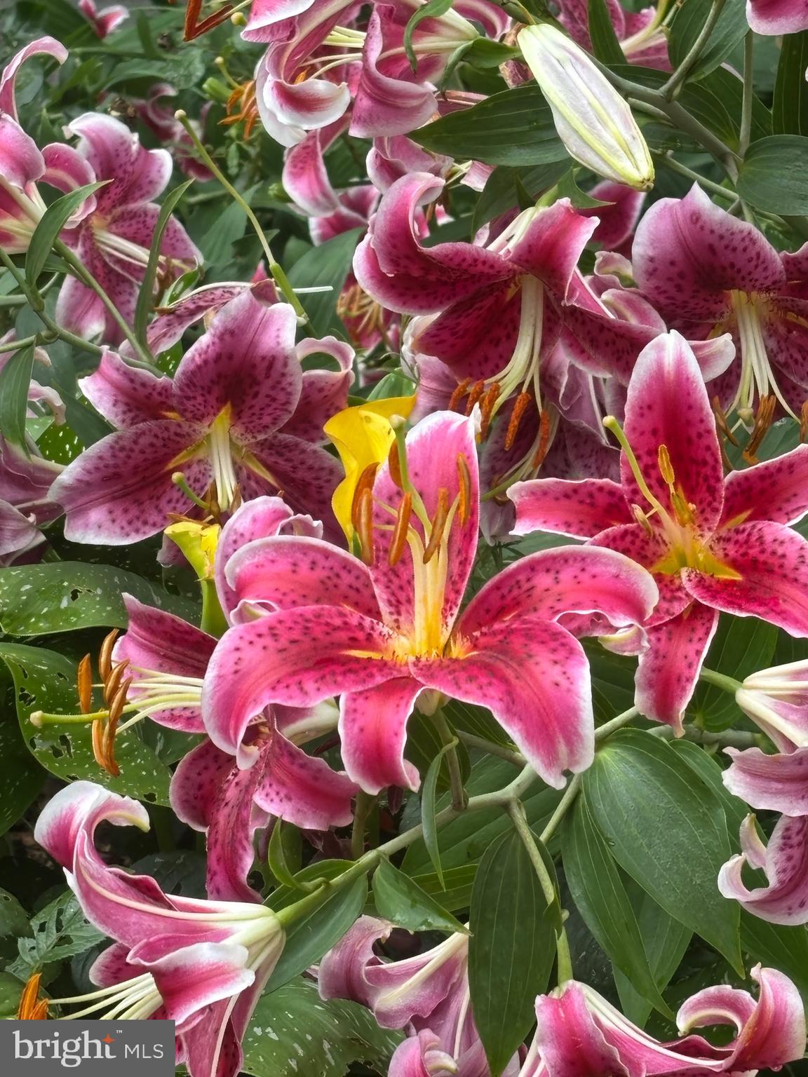 626 Clark Avenue Deale, MD 20751 - Photo 72 of 74