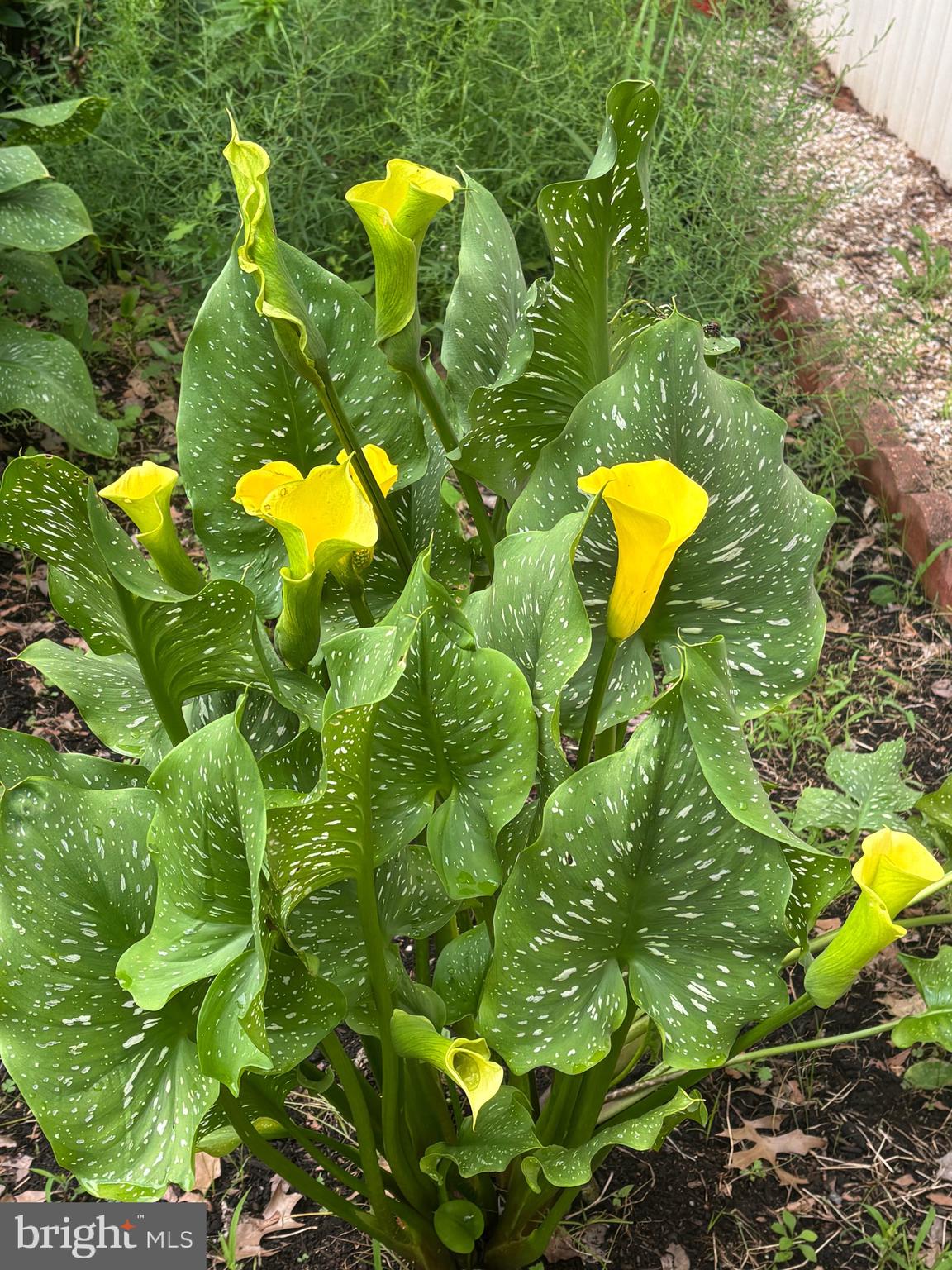 626 Clark Avenue Deale, MD 20751 - Photo 73 of 74