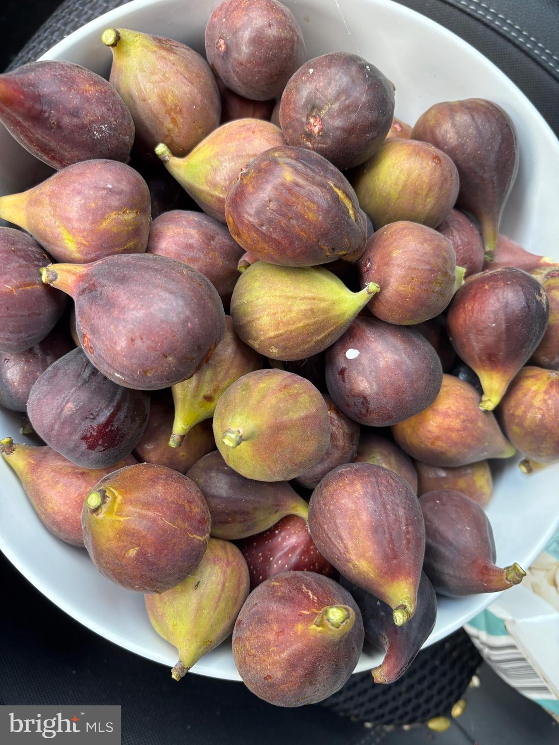 626 Clark Avenue Deale, MD 20751 - Photo 74 of 74