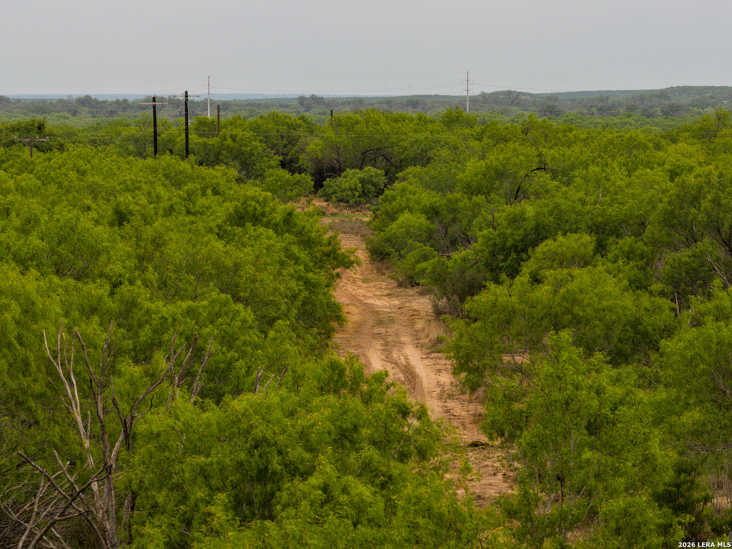 9 Fm 1581 Pearsall, TX 78061 - Photo 15 of 22 a view of a green field with lots of bushes