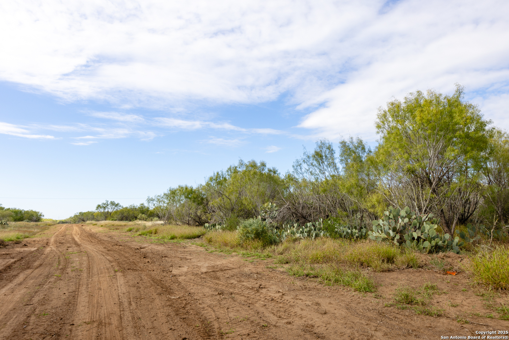 9 Fm 1581 Pearsall, TX 78061 - Photo 2 of 9 a view of a yard with plants and large trees