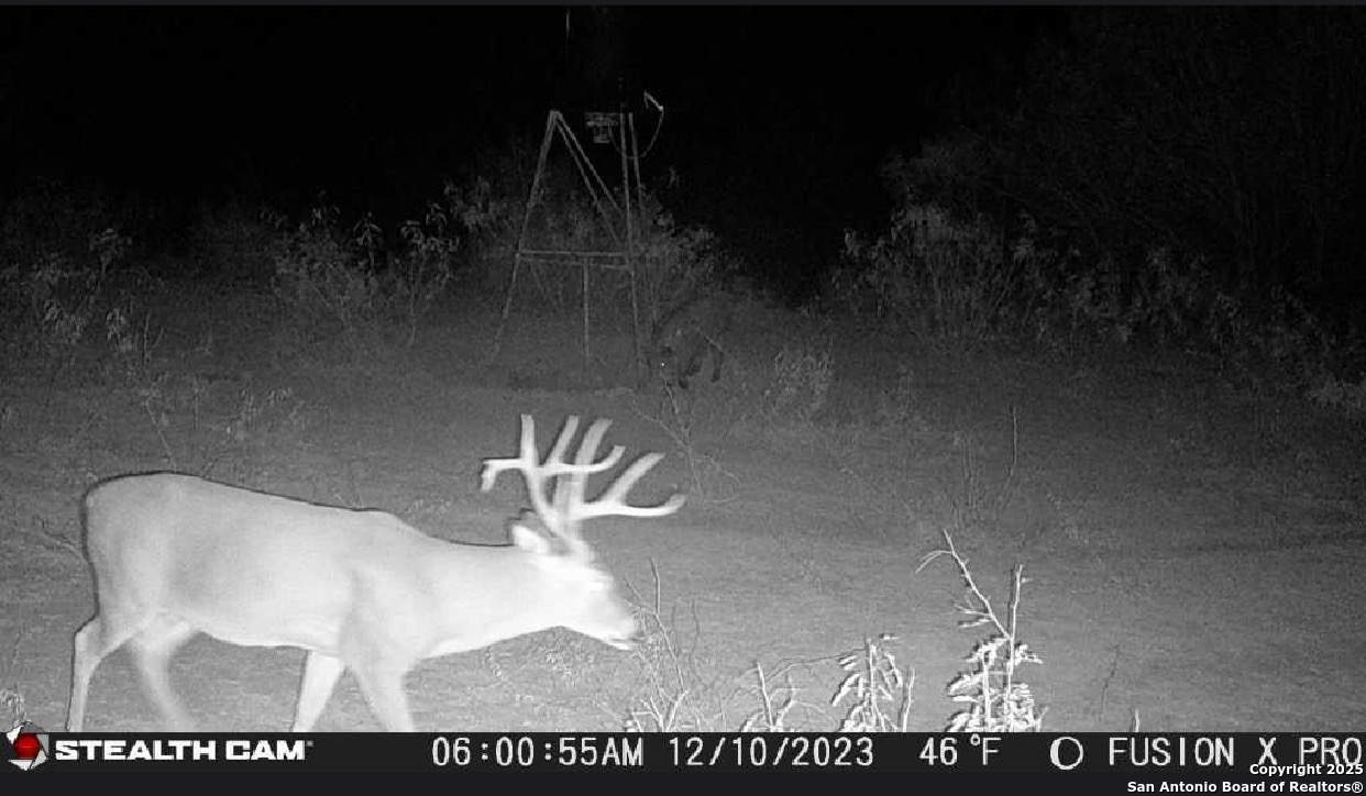 9 Fm 1581 Pearsall, TX 78061 - Photo 5 of 9