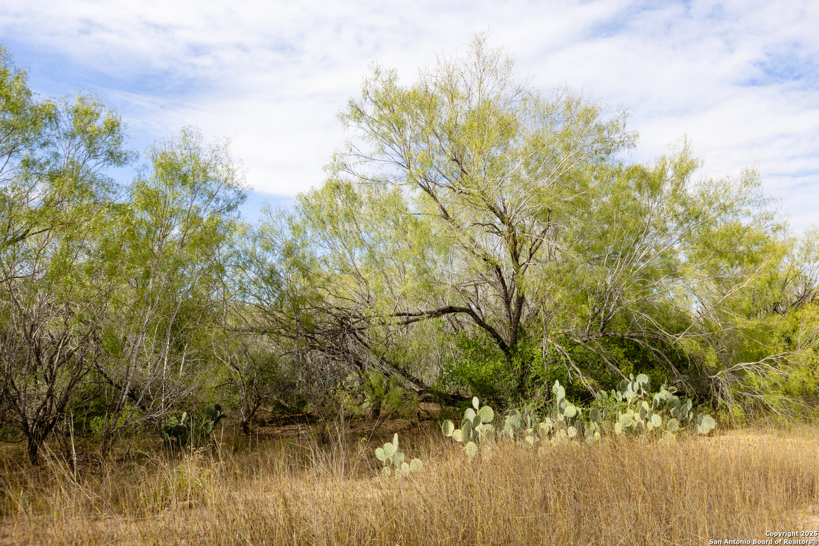 9 Fm 1581 Pearsall, TX 78061 - Photo 6 of 9 a view of lake