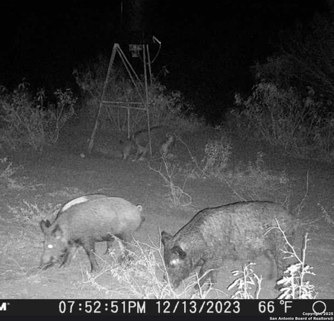 9 Fm 1581 Pearsall, TX 78061 - Photo 9 of 9 a view of outdoor space