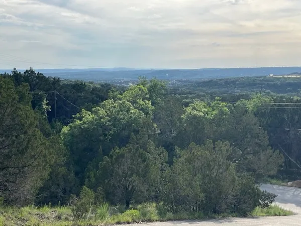 an aerial view of forest