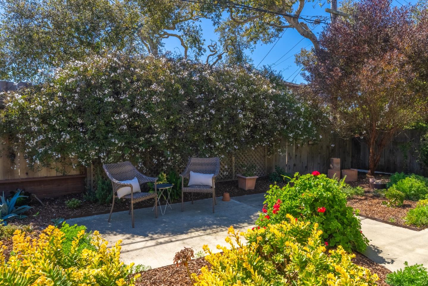 743 Marino Pines Road Pacific Grove, CA 93950 - Photo 46 of 55 a view of a chair and table in backyard