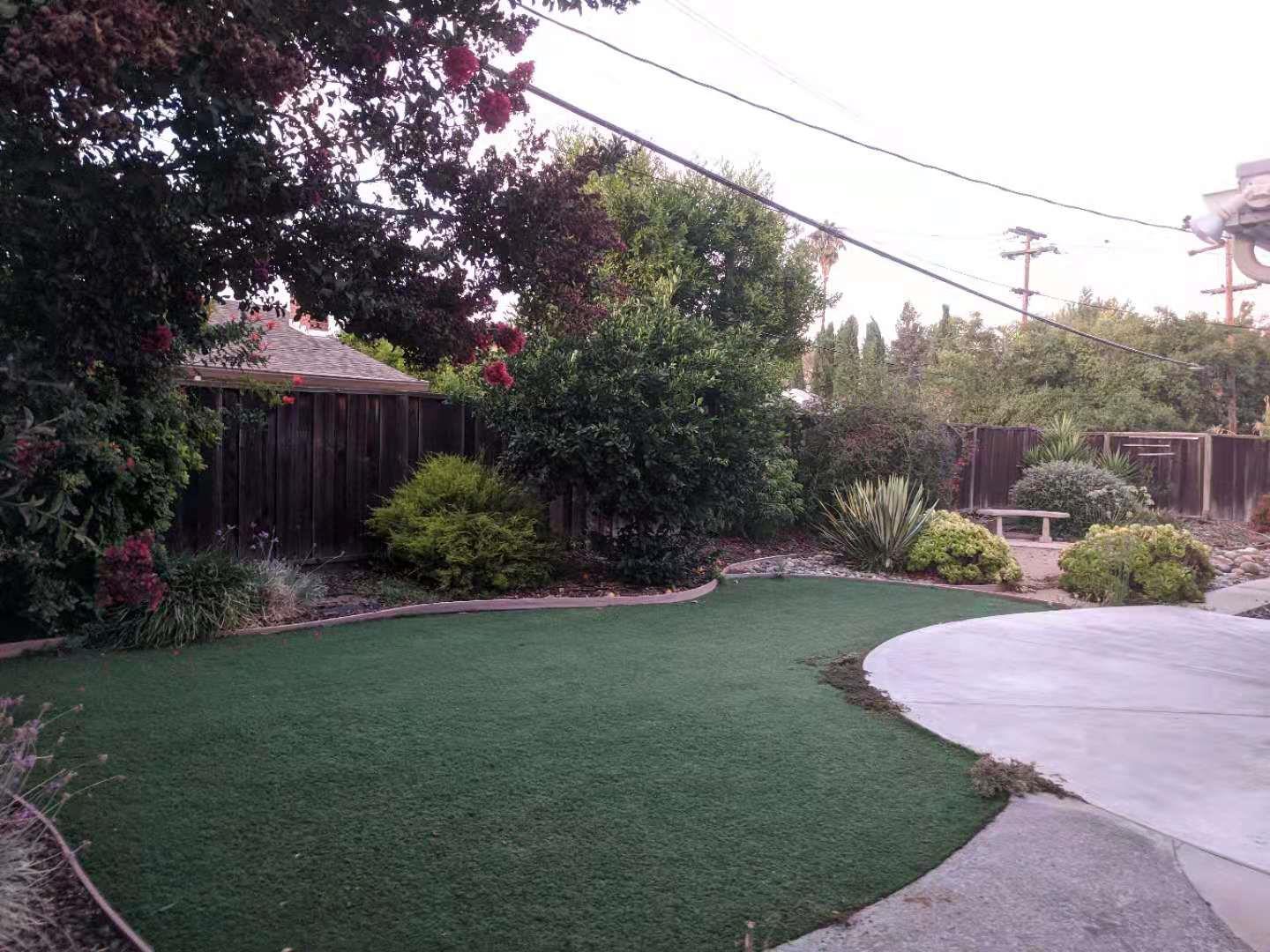 4841 Borina Drive San Jose, CA 95129 - Photo 23 of 26 a view of a garden with a tree in the background