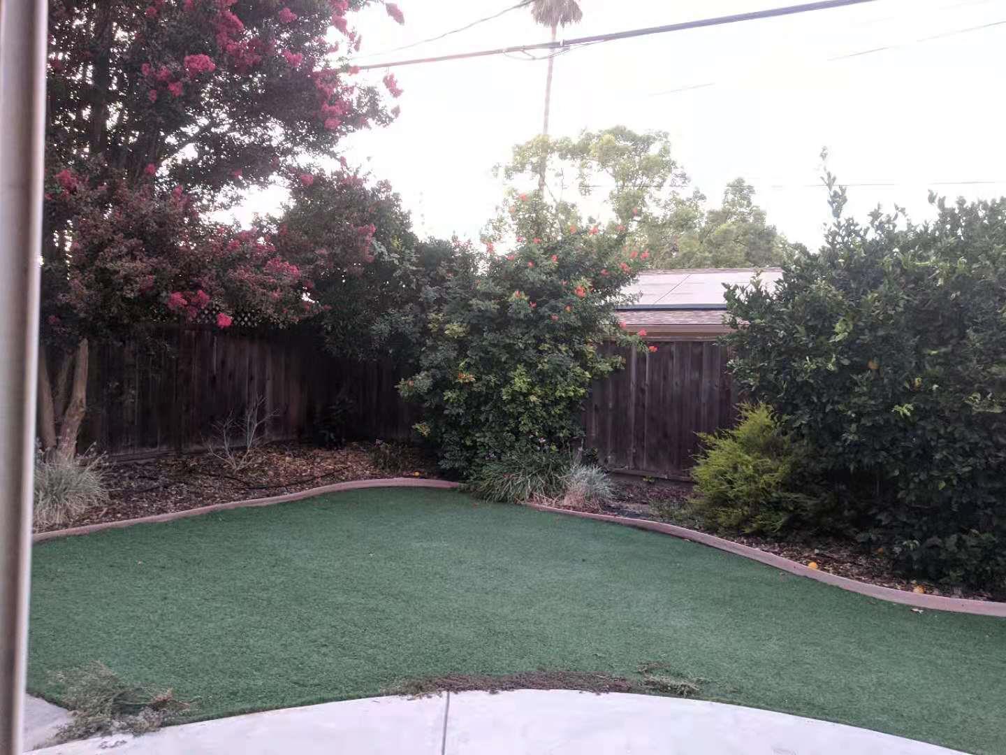 4841 Borina Drive San Jose, CA 95129 - Photo 24 of 26 a view of a backyard with plants and a fountain