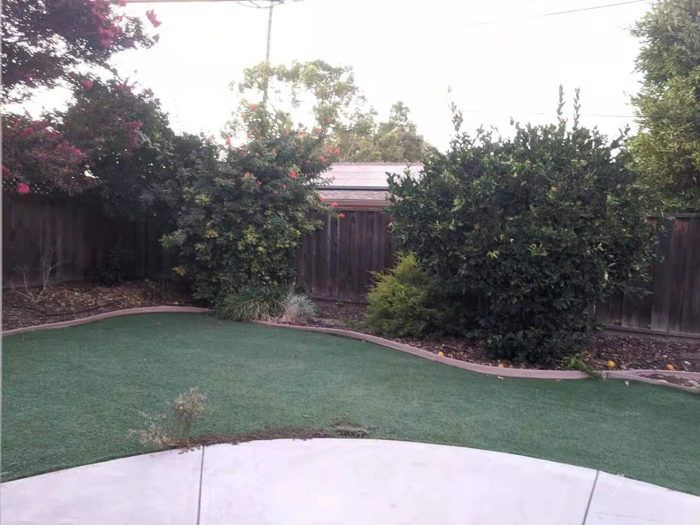 4841 Borina Drive San Jose, CA 95129 - Photo 25 of 26 a view of a backyard