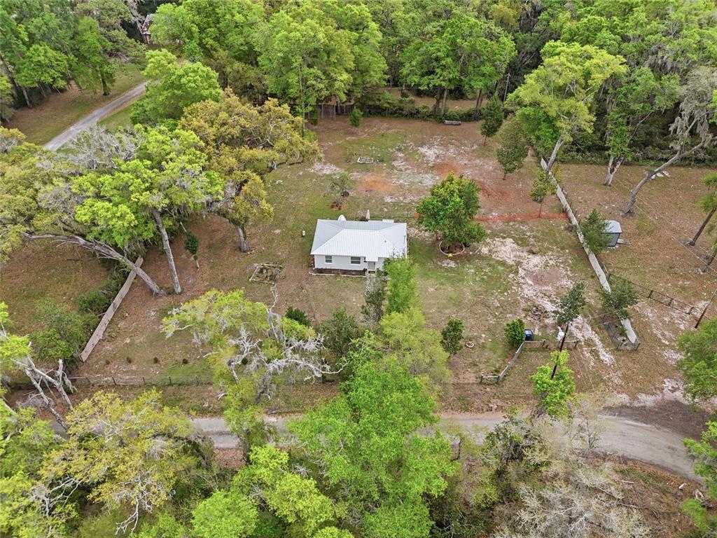 14285 Southwest 174th Street Archer, FL 32618 - Photo 17 of 25 a view of a yard with plants and large trees