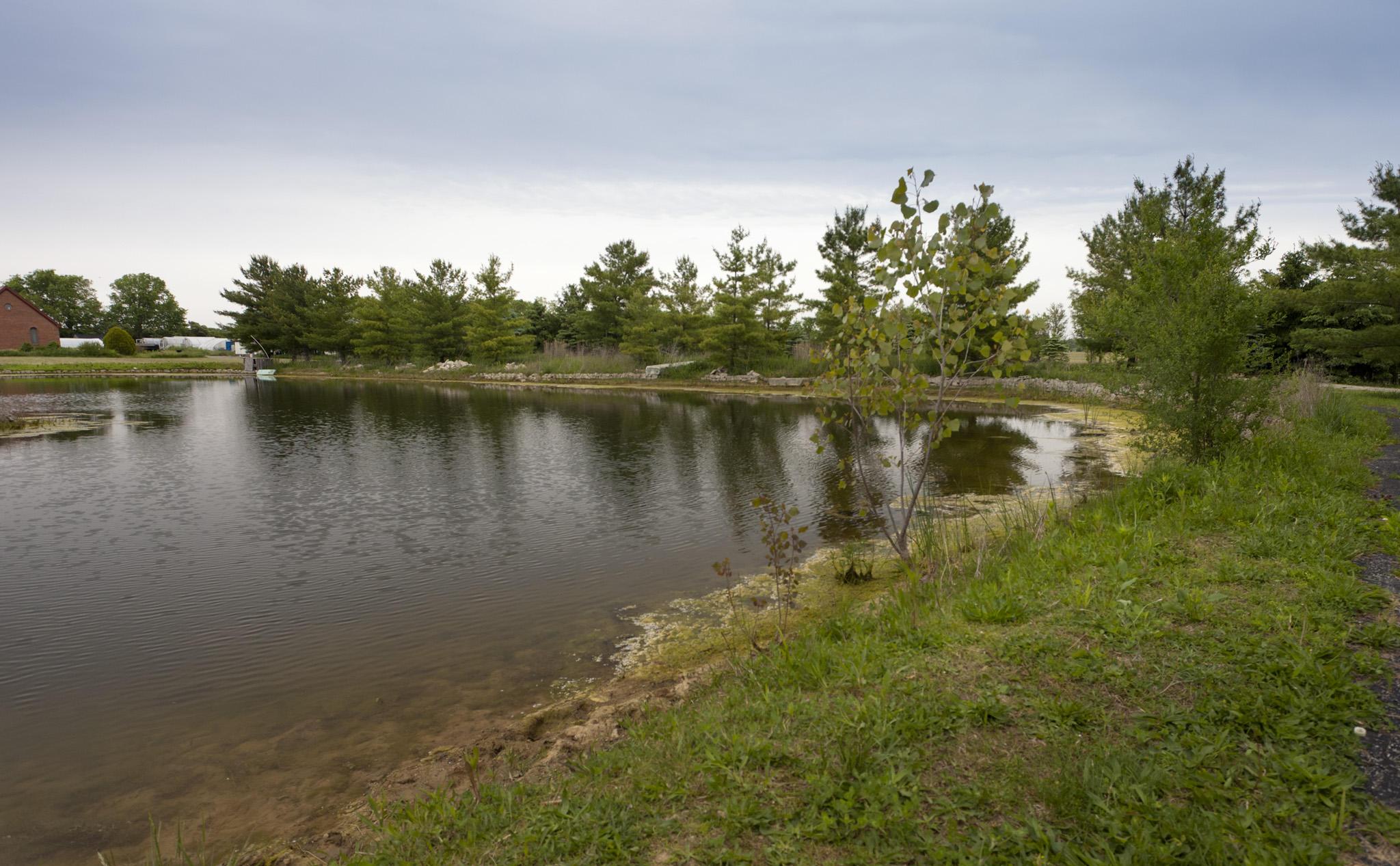 7740 Feder Road Galloway, OH 43119 - Photo 4 of 21 Gallery Image 4