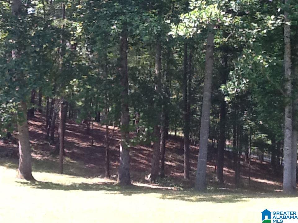 713 Wolf Pen Ridge Road Pell City, AL 35128 - Photo 40 of 40