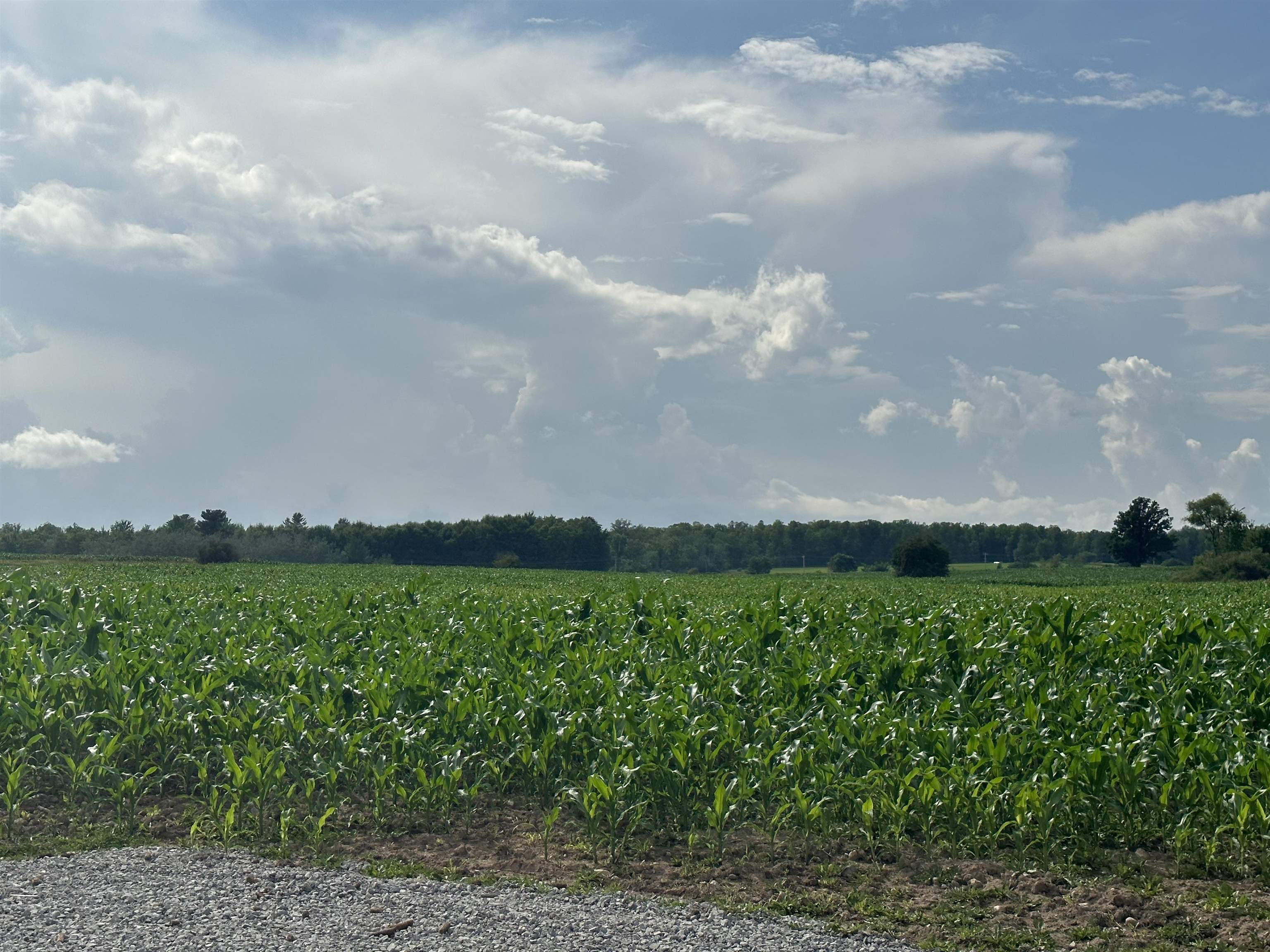 19 Mile Road Marion, MI 49665 - Photo 5 of 9