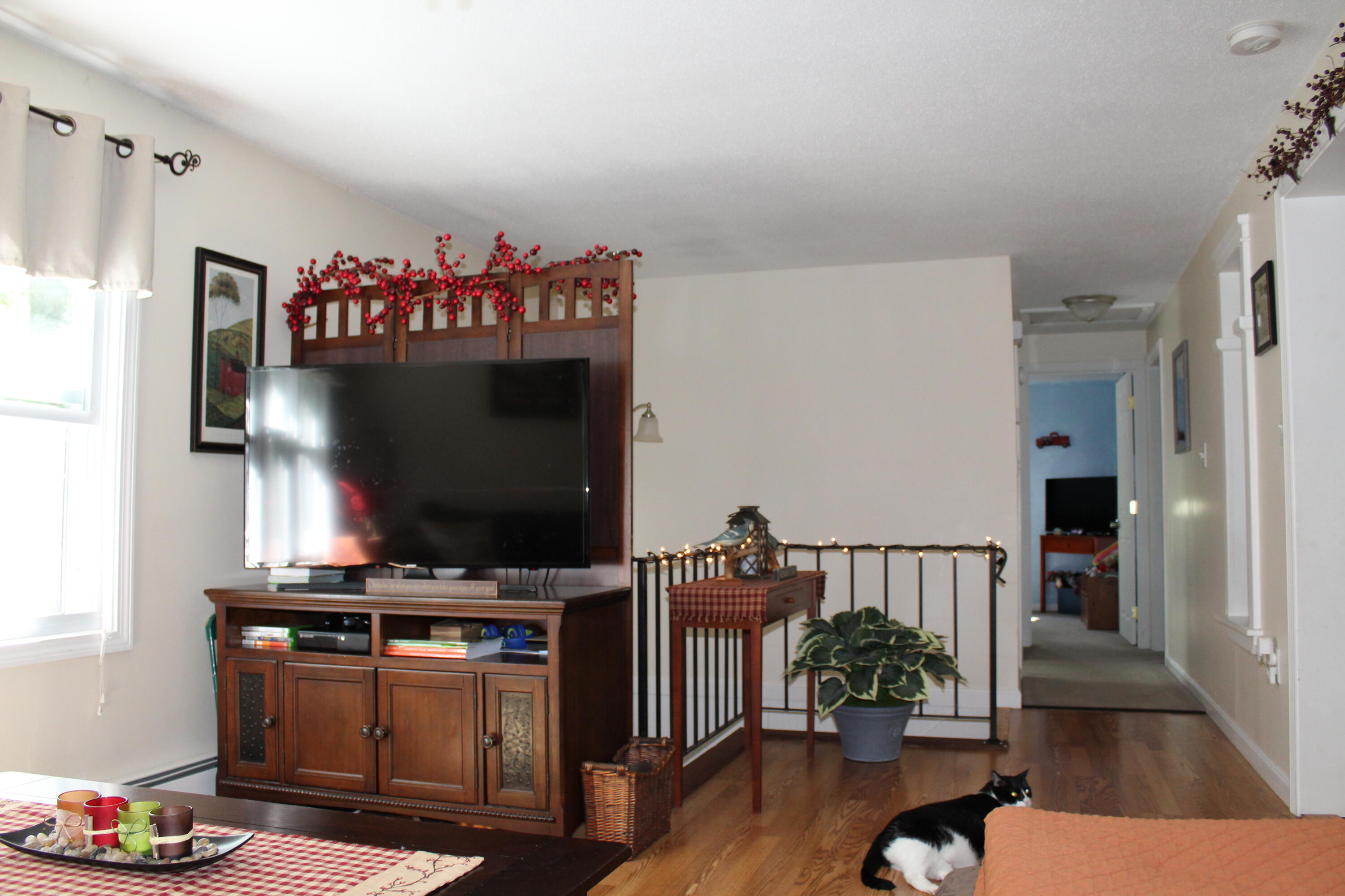 554 Bridgton Road Sebago, ME 04029 - Photo 28 of 83 IMG_4724