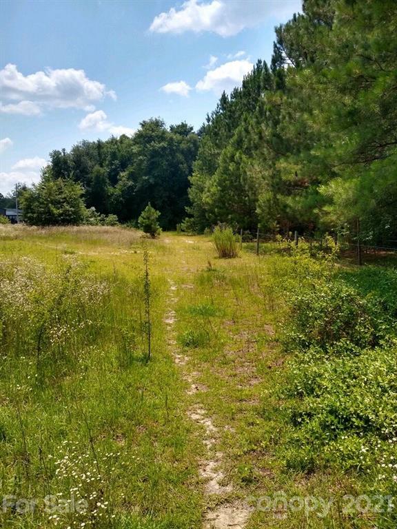 0 Sherman Road North Maxton, NC 28364 - Photo 2 of 7 Gallery Image 2