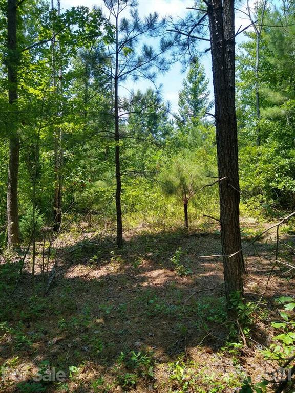 0 Sherman Road North Maxton, NC 28364 - Photo 3 of 7 Gallery Image 3