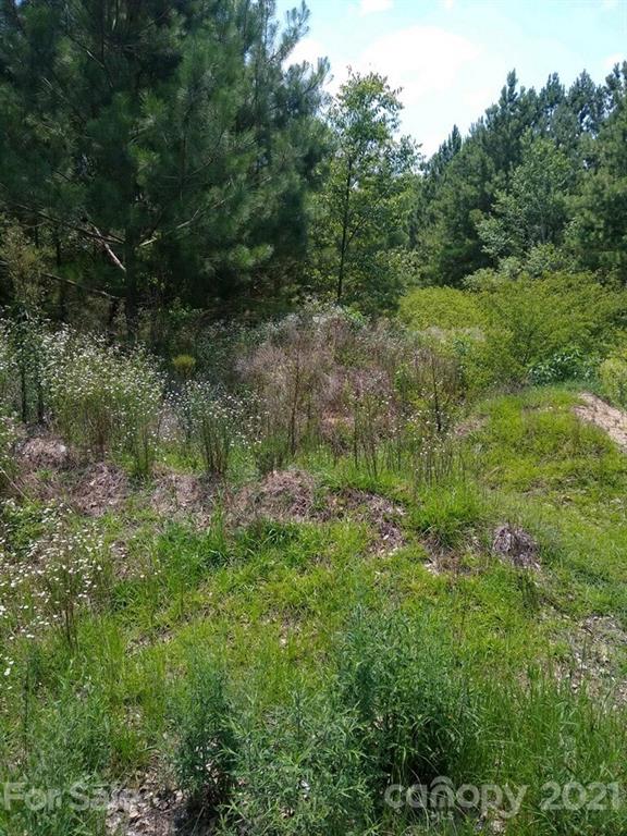 0 Sherman Road North Maxton, NC 28364 - Photo 4 of 7 Gallery Image 4