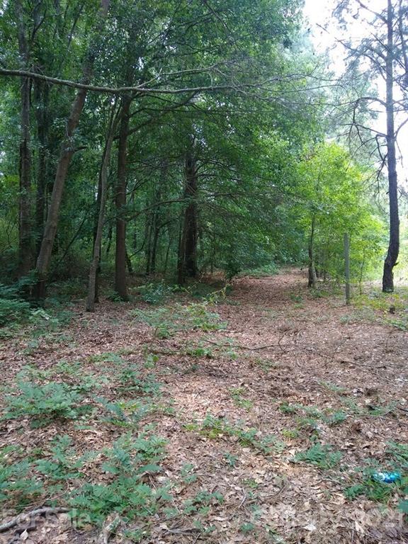 0 Sherman Road North Maxton, NC 28364 - Photo 5 of 7 Gallery Image 5
