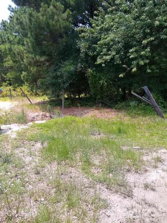 0 Sherman Road North Maxton, NC 28364 - Photo 6 of 7 Gallery Image 6