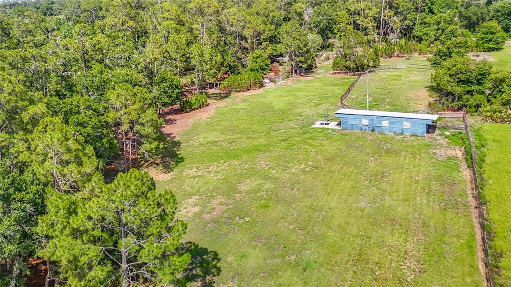 8338 Handcart Road Dade City, FL 33525 - Photo 86 of 96