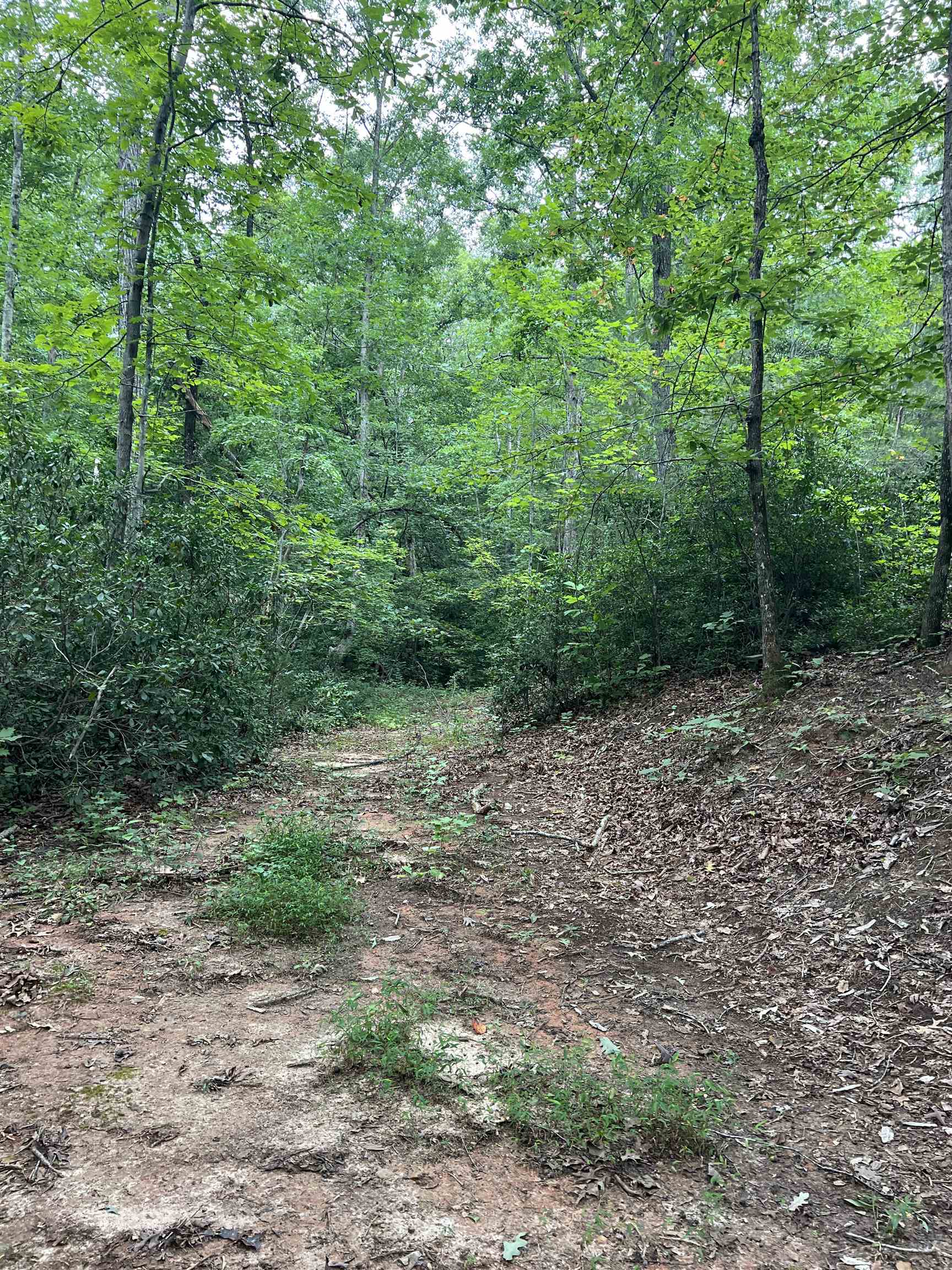 300 Goforth Road Landrum, SC 29356 - Photo 19 of 24 Gallery Image 19