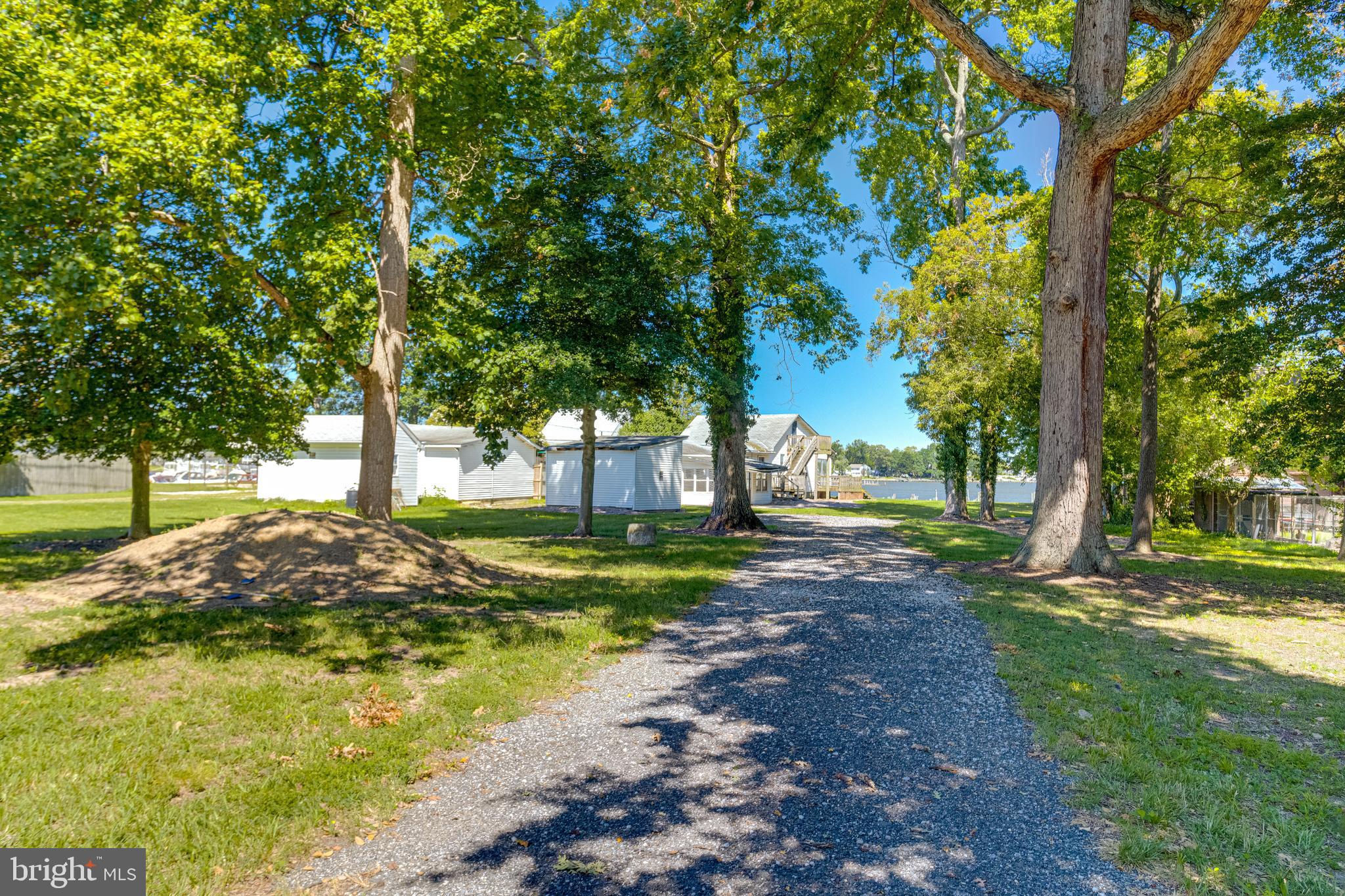 1937 Cape May Road Essex, MD 21221 - Photo 5 of 23 a view of a yard with plants and trees