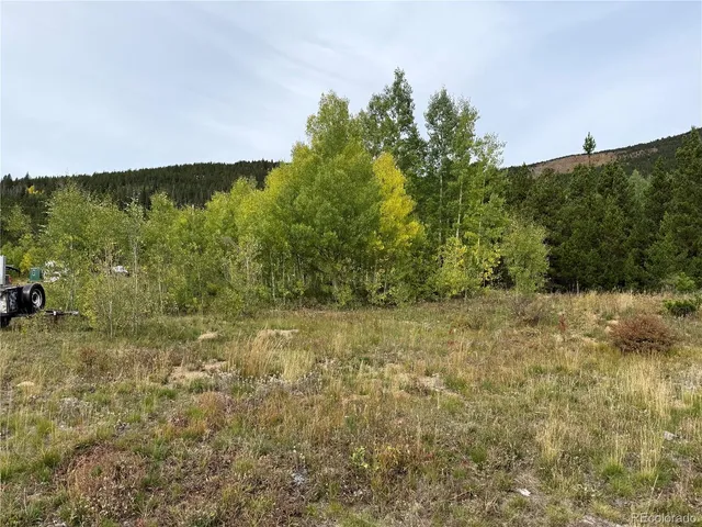 a view of a yard with an trees