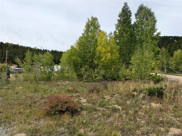 a view of a forest with trees in the background