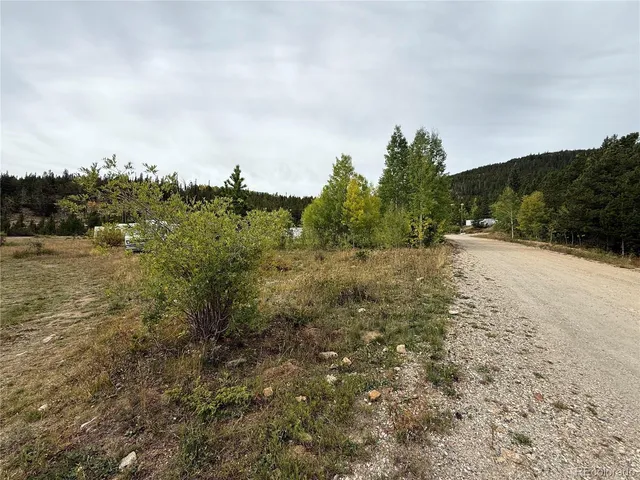 a view of a dry yard with trees in the background
