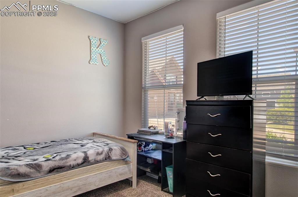 7627 Loopout Grove Peyton, CO 80831 - Photo 17 of 21 a bedroom with a bed and a flat screen tv