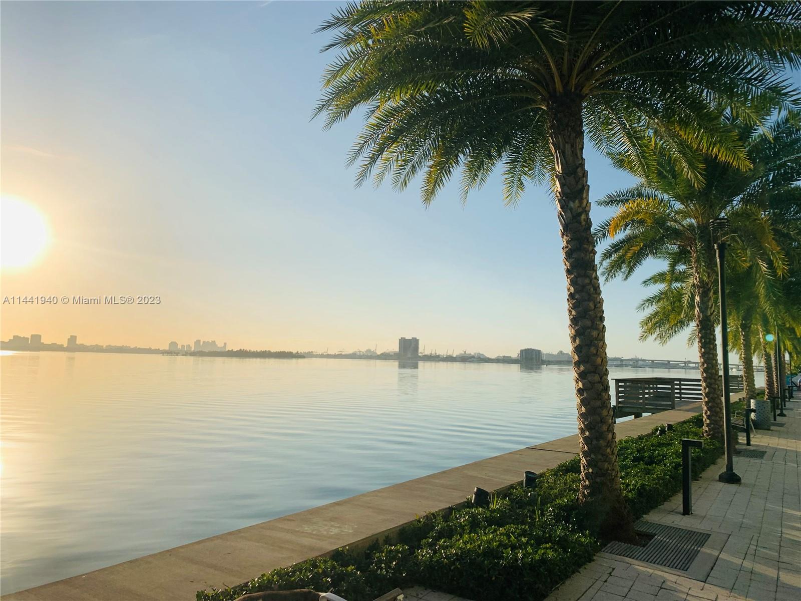 Edgewater Miami, FL 33137 - Photo 2 of 14 a view of a ocean with a palm tree