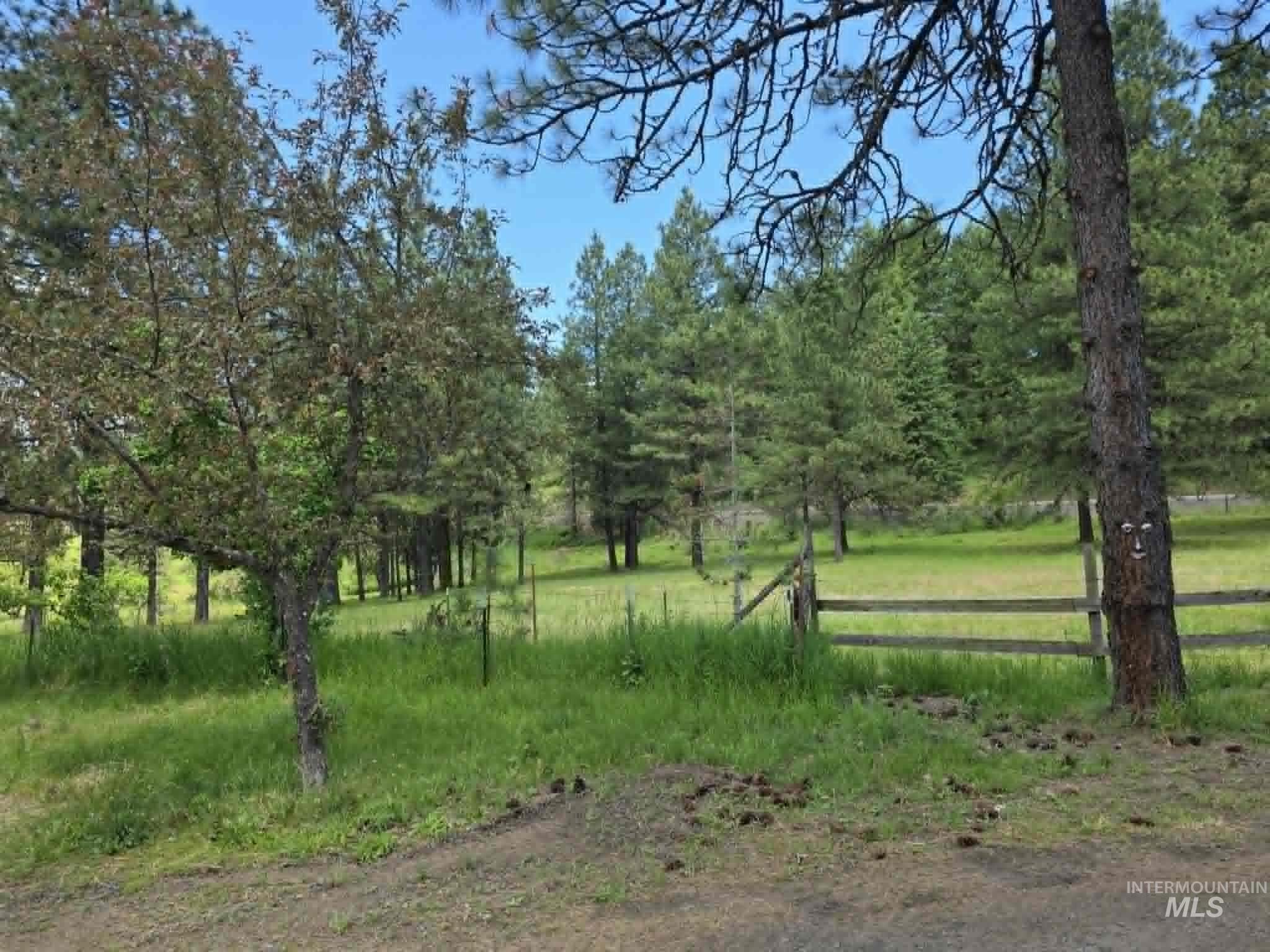 3871 Lakeview Road Orofino, ID 83544 - Photo 23 of 49