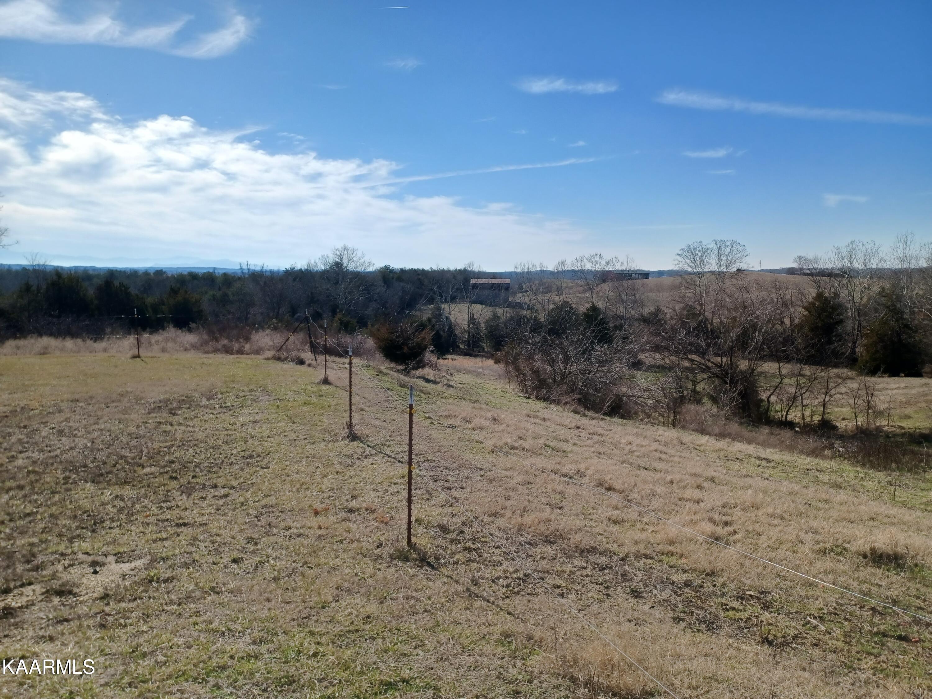 845 Mountain Valley Road Mohawk, TN 37810 - Photo 3 of 55 20230121_135319