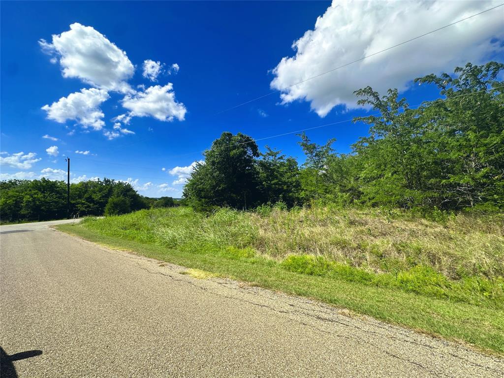 47-79 Bluffview Estates Road Corsicana, TX 75109 - Photo 12 of 20 a view of a flower in a yard