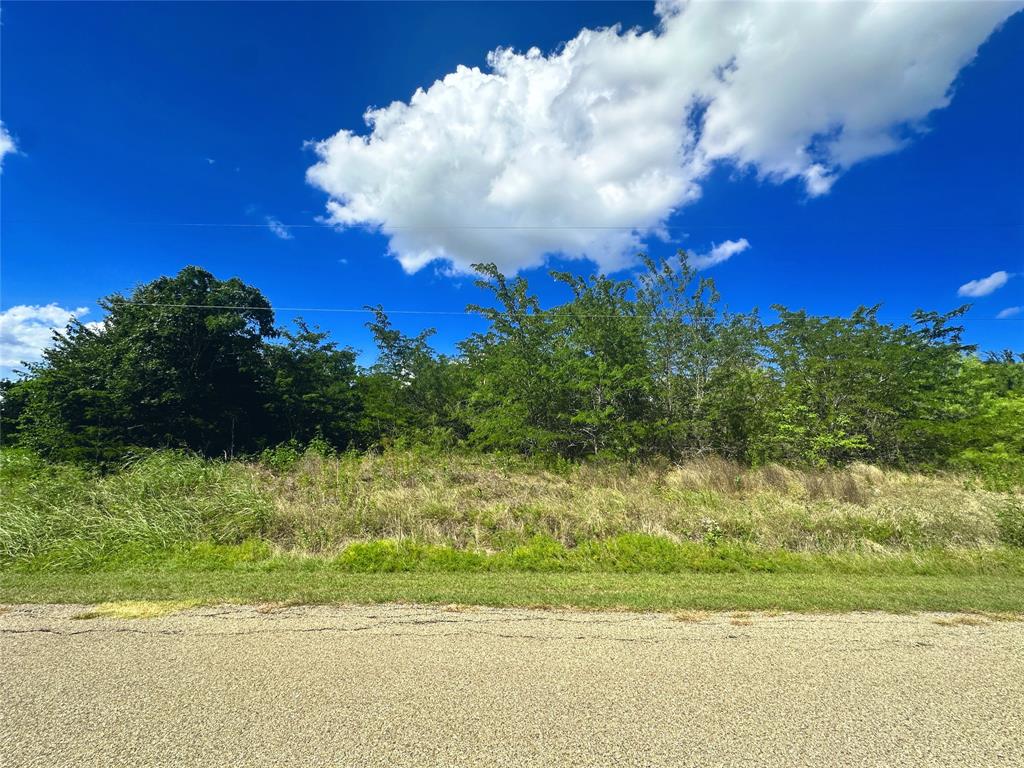 47-79 Bluffview Estates Road Corsicana, TX 75109 - Photo 13 of 20