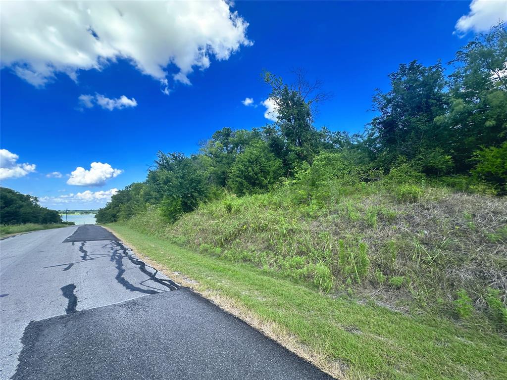47-79 Bluffview Estates Road Corsicana, TX 75109 - Photo 15 of 20 a view of a yard with plants and trees