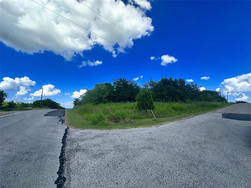 47-79 Bluffview Estates Road Corsicana, TX 75109 - Photo 17 of 20