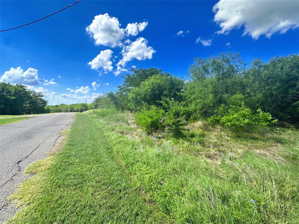 47-79 Bluffview Estates Road Corsicana, TX 75109 - Photo 7 of 20 a view of a flower garden