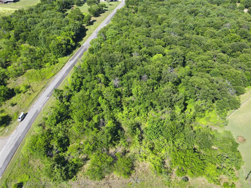 47-79 Bluffview Estates Road Corsicana, TX 75109 - Photo 9 of 20 a close up of a lush green forest with trees in the background
